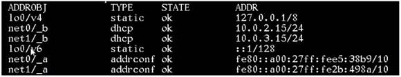 1Z0-821 dumps exhibit